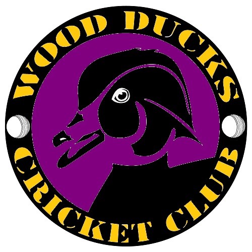 Team Logo Image