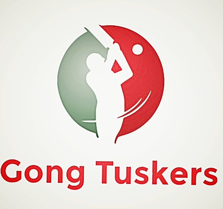 Team Logo Image