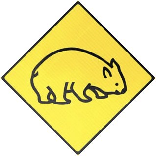 Team Logo Image