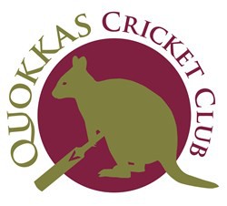 Team Logo Image