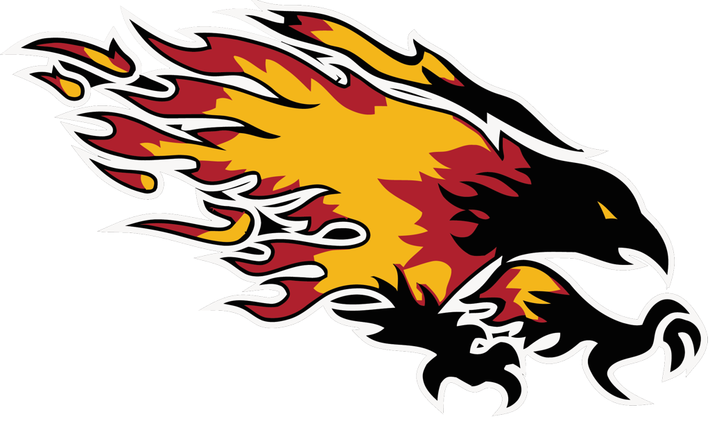Team Logo Image