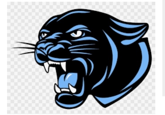 Team Logo Image