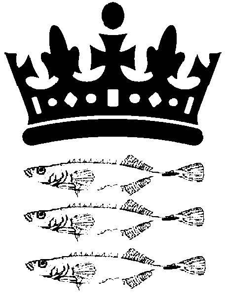 Team Logo Image