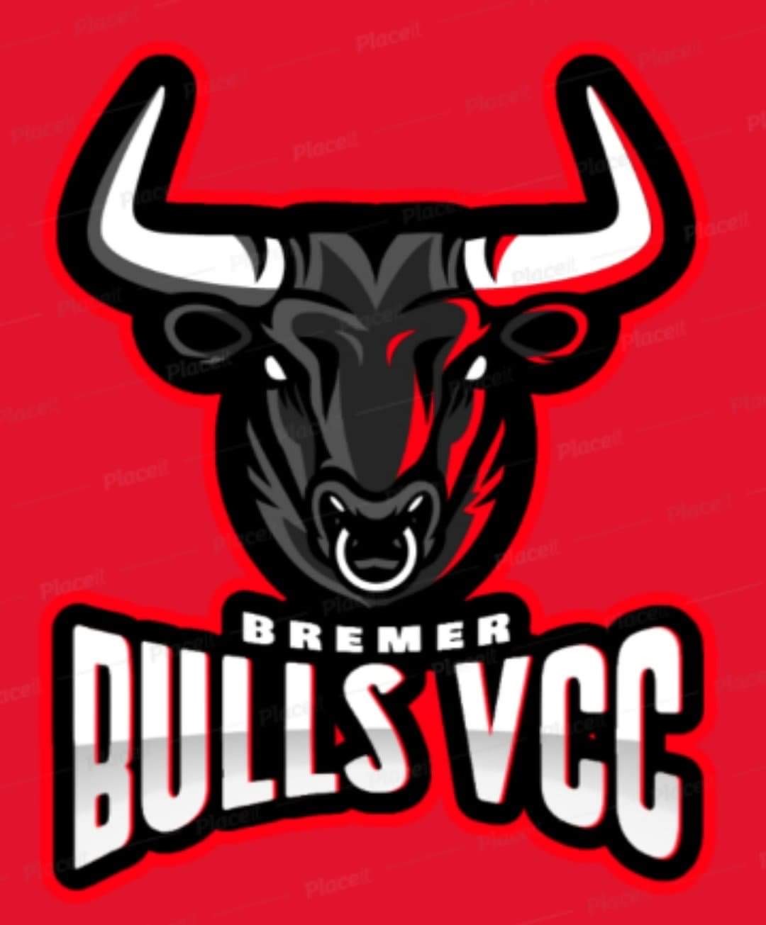 Team Logo Image