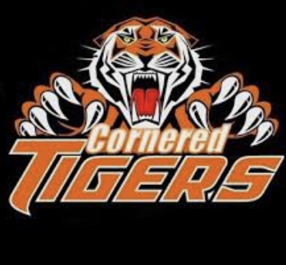 Team Logo Image