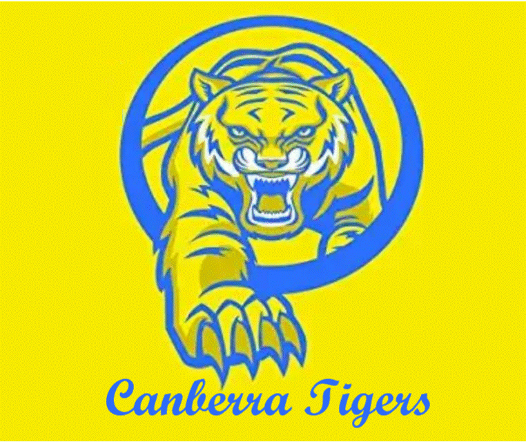 Team Logo Image