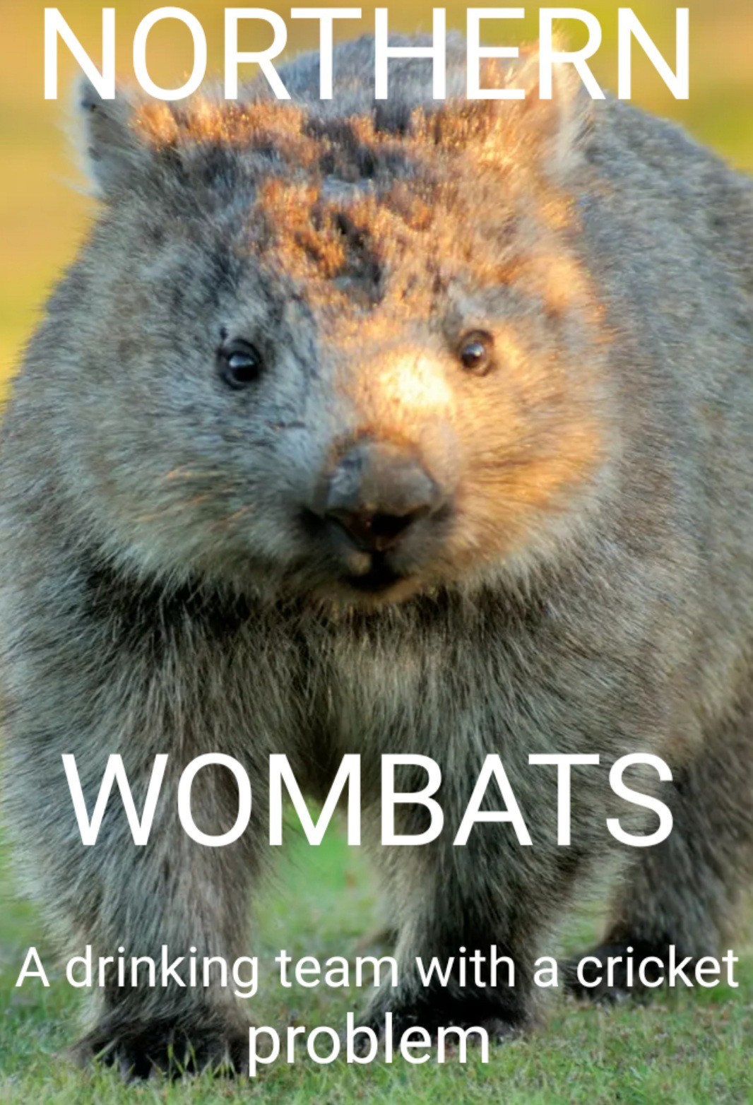 Team Logo Image