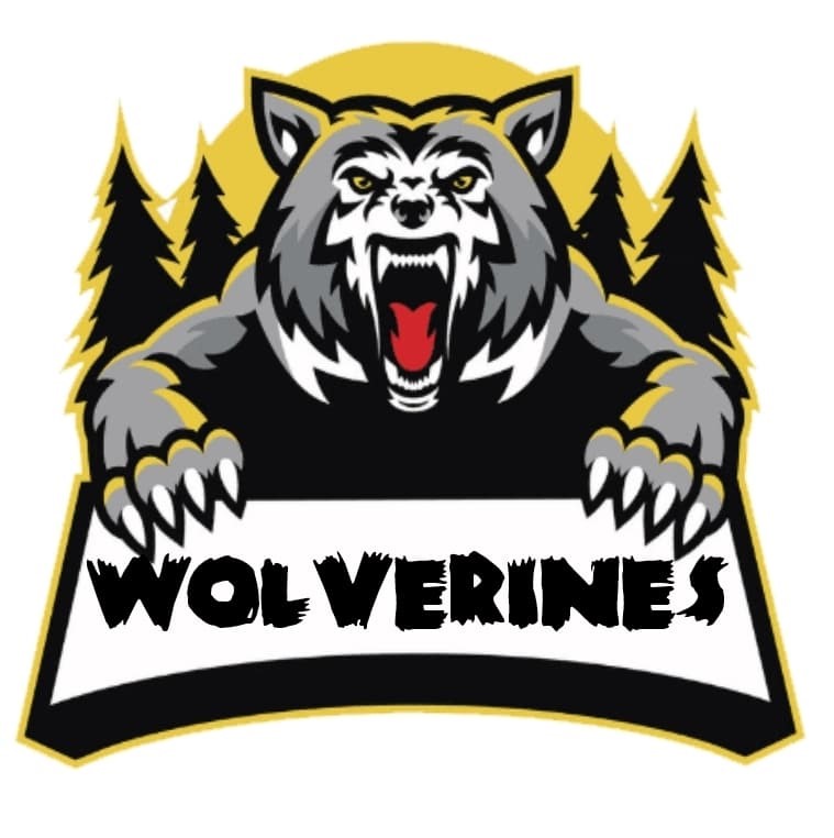 Team Logo Image