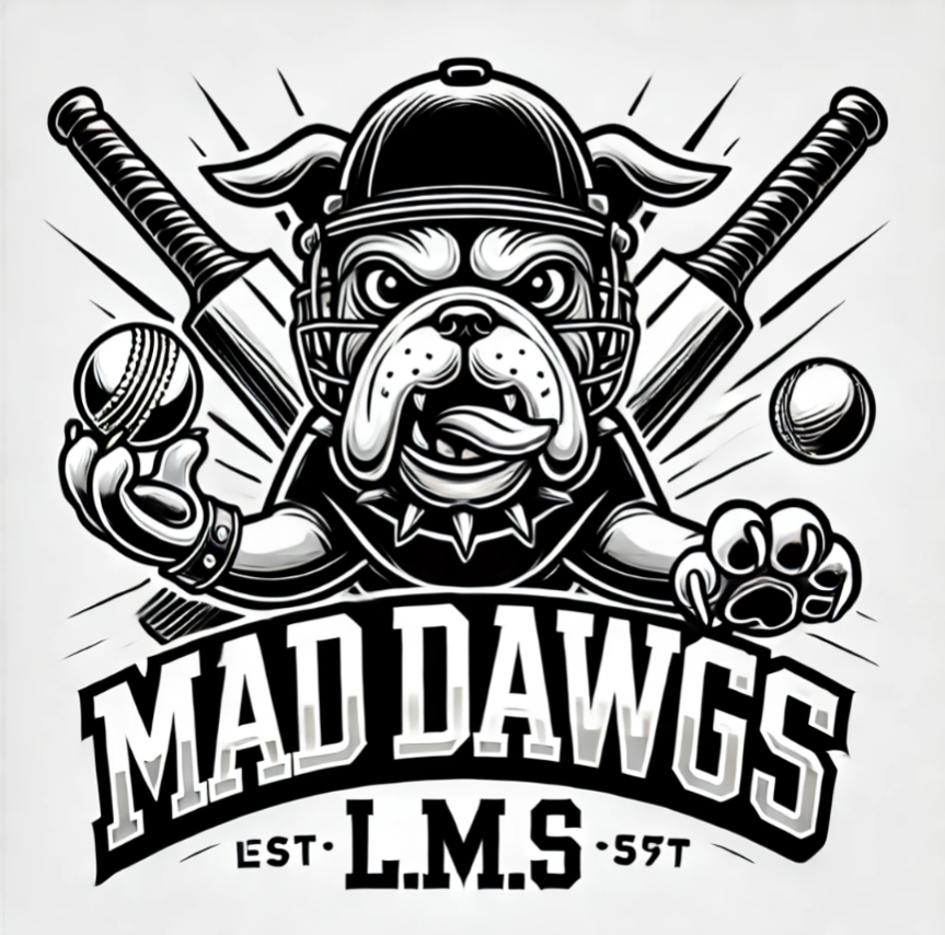 Team Logo Image