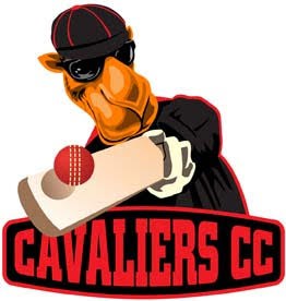 Team Logo Image