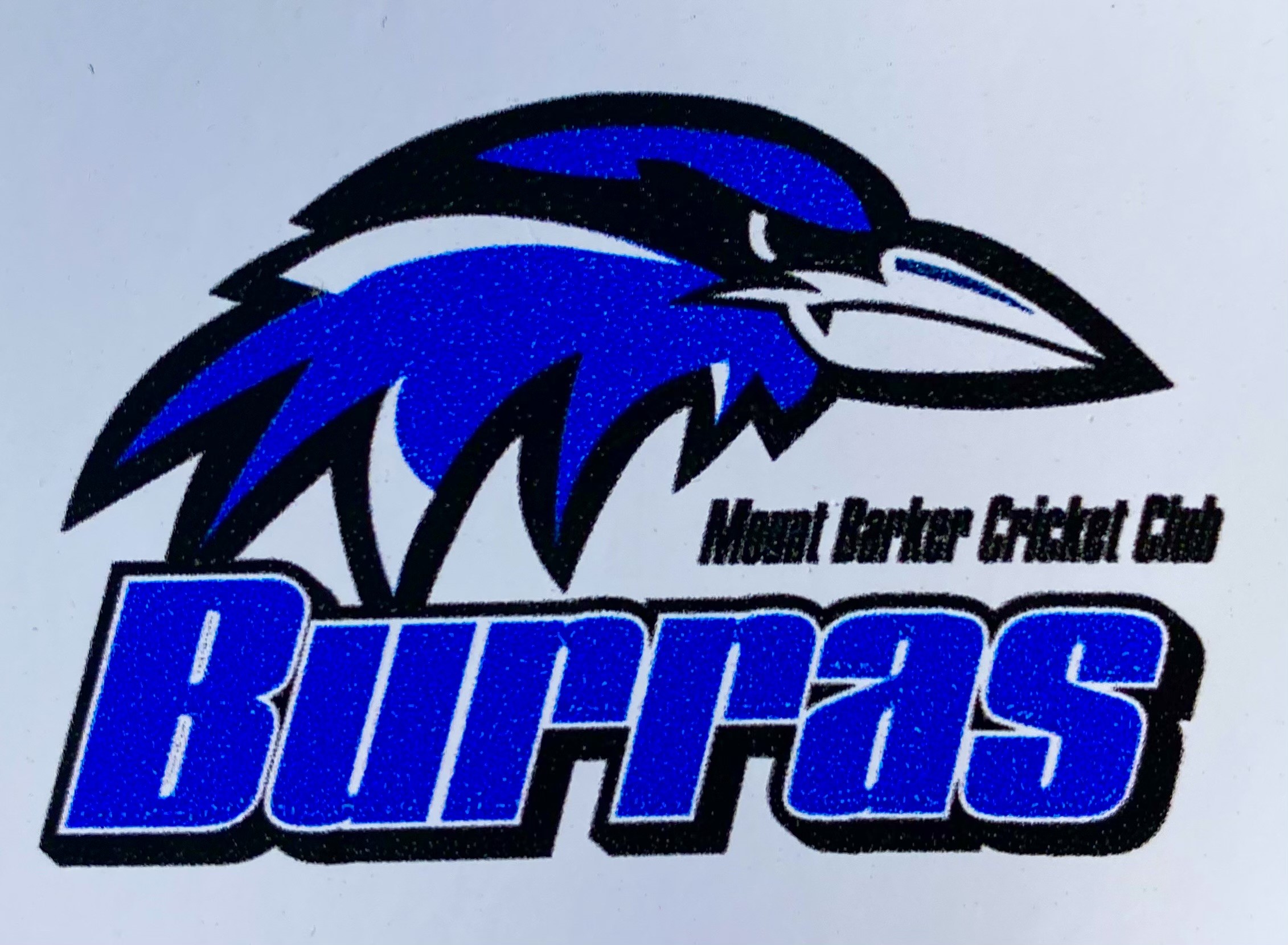 Team Logo Image