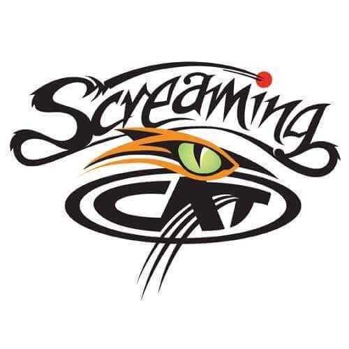 Team Logo Image