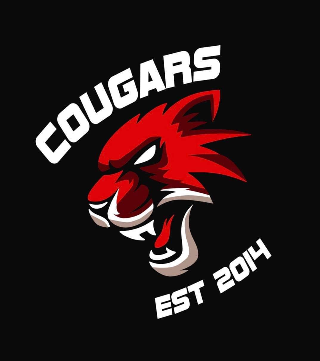 Team Logo Image
