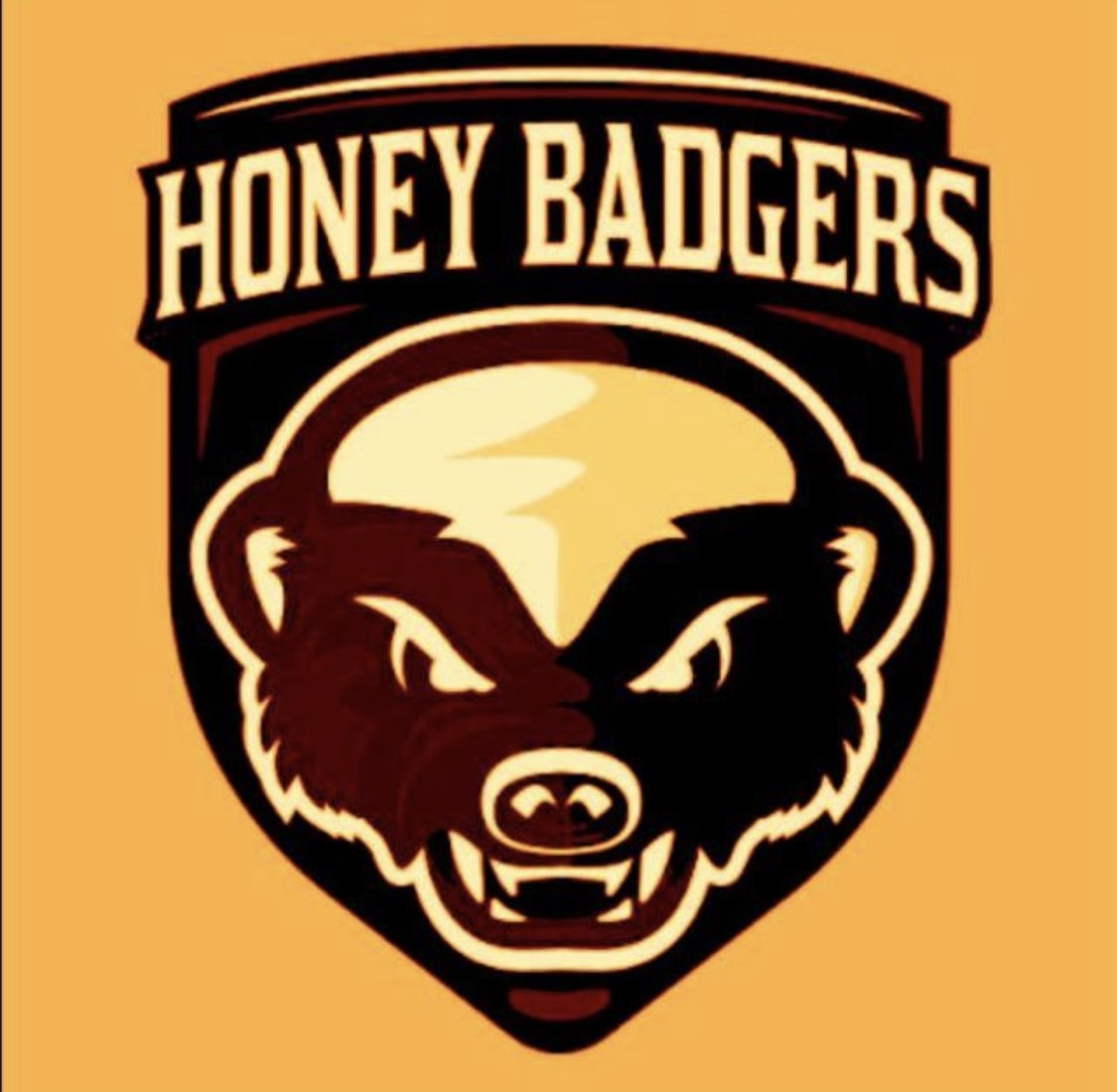 Team Logo Image