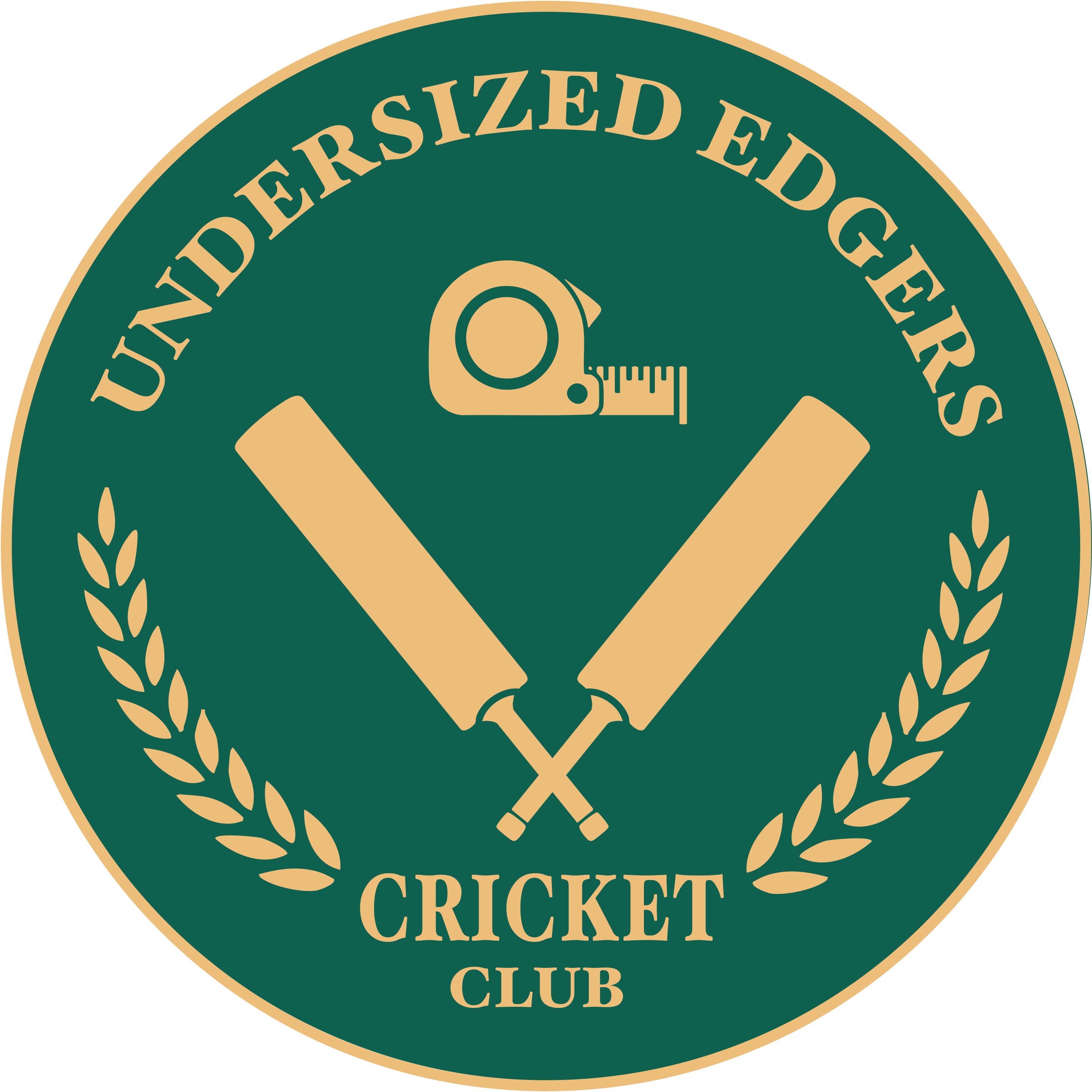 Team Logo Image